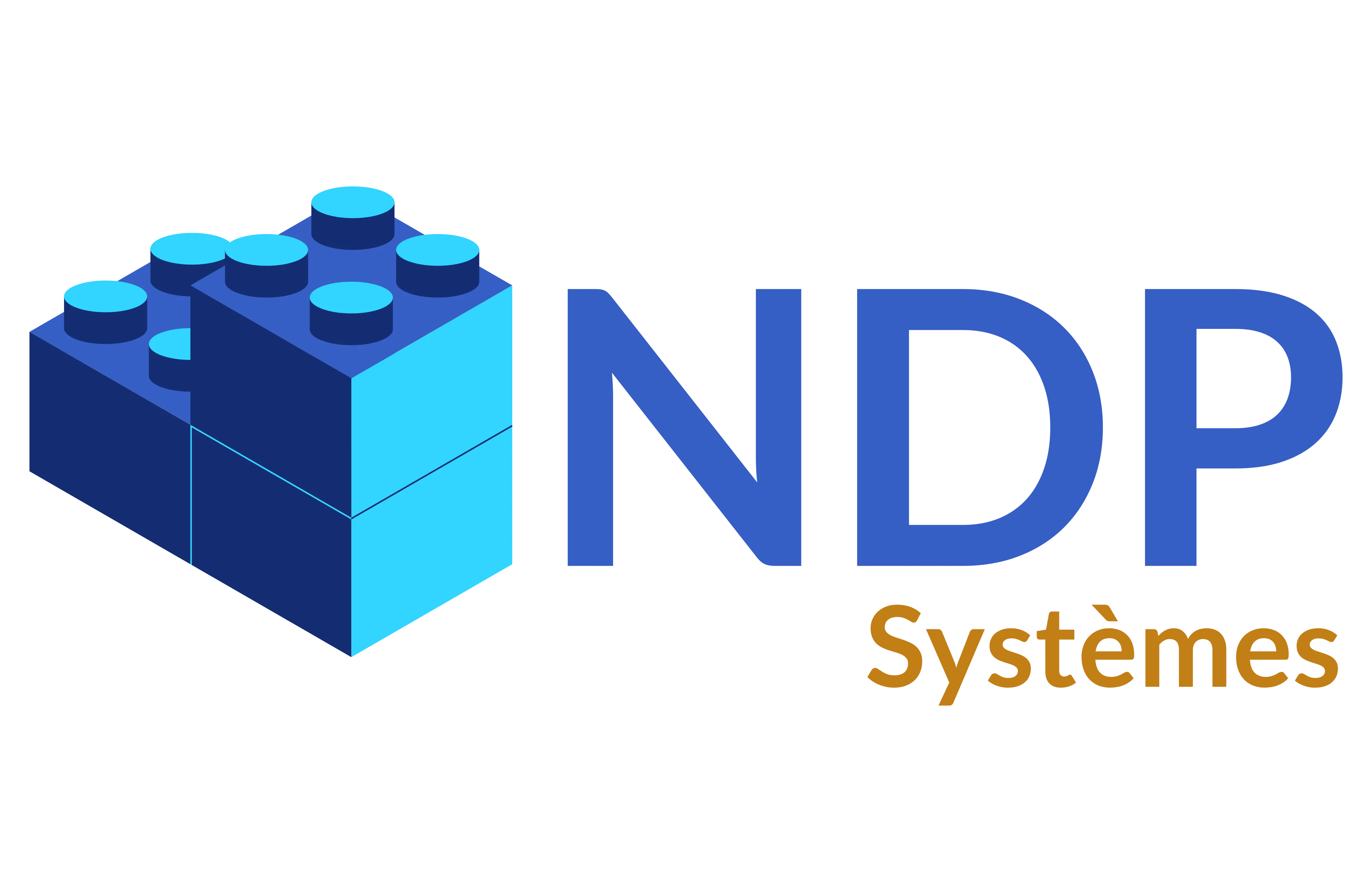 ndp-logo
